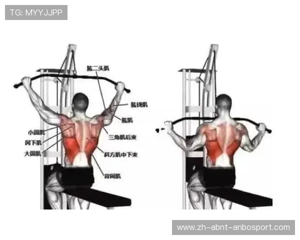 哪些健身器材适合锻炼背部肌肉？科学训练方案解析