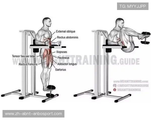 常用健身器材的动作及训练部位